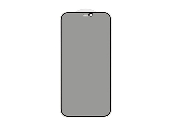 Защитное стекло 3D PRIVACY для Apple iPhone 12, 12 Pro, черный (Vixion)